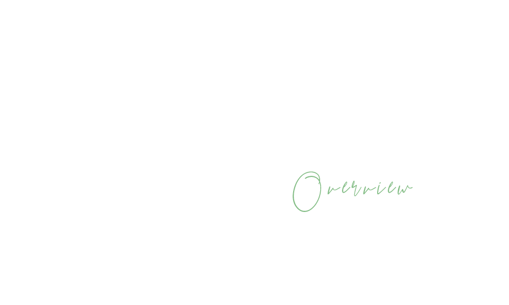 bnrhalf_company